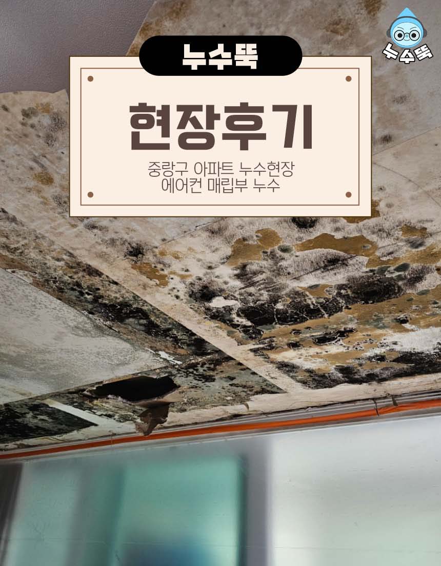 KakaoTalk_20250308_184413346 복사.jpg