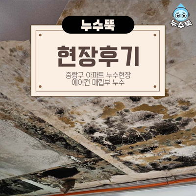 제목 없음-3.png